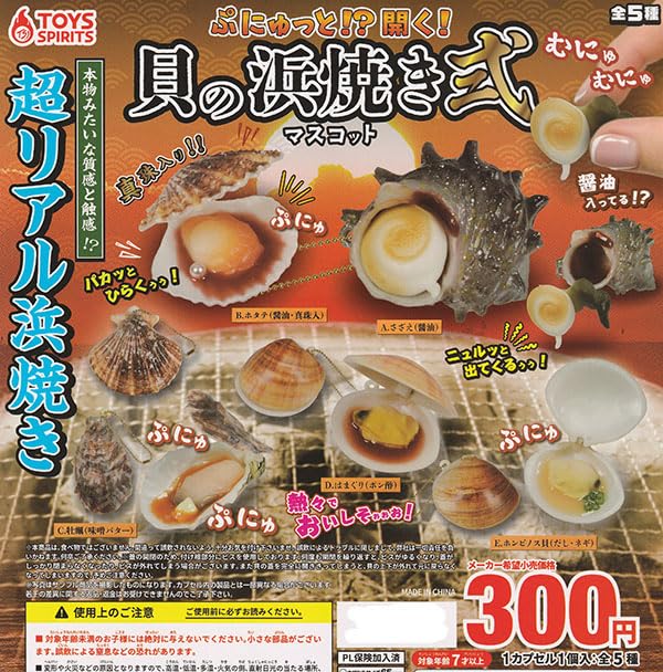 多様な貝のセット 5種類